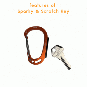 Sparky & Scratch Key (Key Type: SC1, Color: Silver)